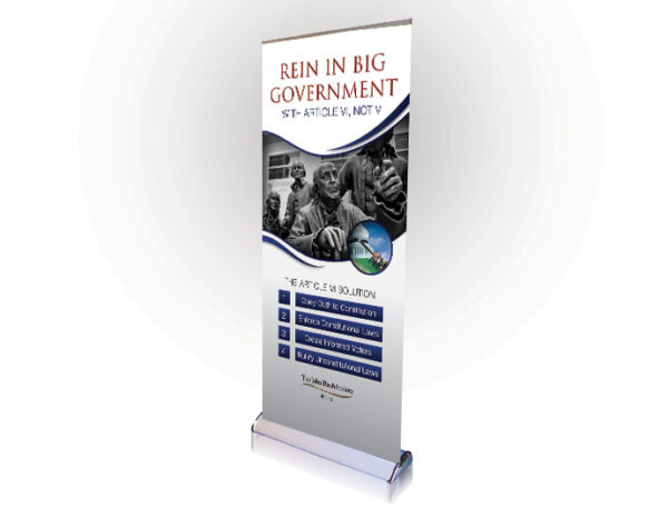 DOWNLOAD - REIN IN BIG GOVERNMENT Pull up Banner-0